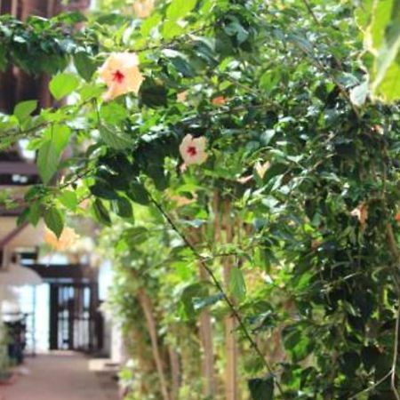 Pousada Parador 081 ปอร์โต จิ กาลินญาส ภายนอก รูปภาพ
